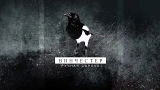 Домашняя сорока Винч (magpie). Часть 3