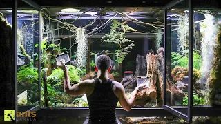 I Added Animals Into My Giant Rainforest Vivarium | S1 Ep. 6