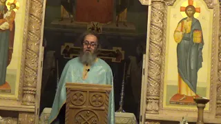 Pr. Dan Popovici – Stareții de la Optina și elita intelectuală a vremii – partea întâi