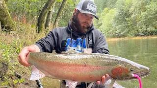 This WINTER STEELHEAD season was so INSANE (highlight video)