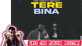 Tere Bina - Garry Sandhu ft Miss Pooja | New Punjabi Video Song 2024 reaction