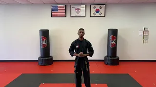 Songahm 1  White Belt Form