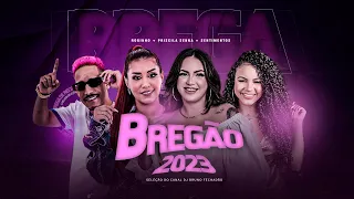 SELEÇÃO DE BREGA ROMANTICO 2023 RAPHAELA SANTOS + PRISCILA SENNA + BANDA SENTIMENTOS + ROGINHO