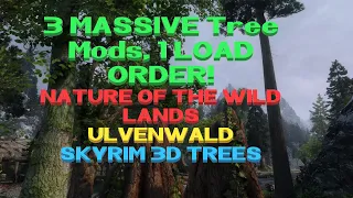 Modded Skyrim SE 2023 - FALKREATH Ultra Forest - Ultimate Trees REDUX by ANCIENT part 2 (new mods)