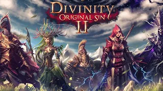 Divinity Original Sin 2 прохождение с брательником. Часть 9