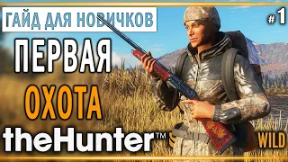 theHunter Call of the Wild #1 🔫 - Первая Охота - ГАЙД для Начинающих