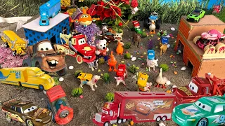 Play With Lots of Minicars |Looking For Disney Pixar Cars in the Garden