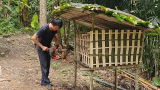 Make wild chicken coops and take care of wild boars, Survival Instinct, Wilderness Alone (ep 85)