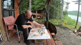 Solo Off Grid Cabin Trip Black Bear Moose And Brook Trout    Episode #15