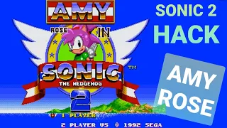 Amy Rose in Sonic the Hedgehog 2