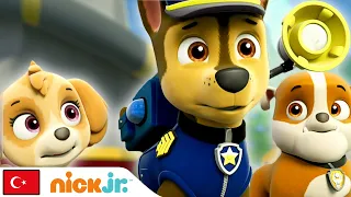 Pati Devriyesi | PAW Patrol Yardıma Devam Ediyor | Nick Jr.