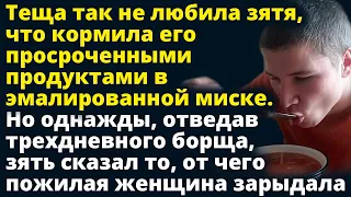 Теща так не любила зятя, что кормила его просроченными продуктами из миски Любовные истории