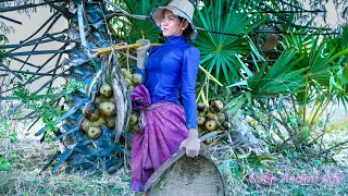 Cooking Bitter Cumin with Palm Fruit - Find Field Fish to Cook & Eat - Beautiful Dalin Ancient Life