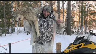 Охота на волка 2022  Winterjagd auf Wolf (фильм второй)