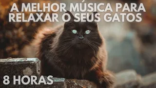 #113🐱8 HORAS🐱 A Melhor Música para Relaxar o seus Gatos 🐱