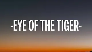 [1 HOUR]   Survivor - Eye Of The Tiger (Lyrics)