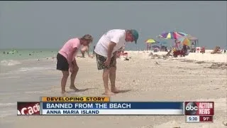Anna Maria Island fed up with tourists