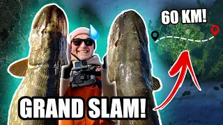 1v1 - Loser has to Walk Across GIANT ISLAND 😱 (Pike, Perch, Sea Trout)