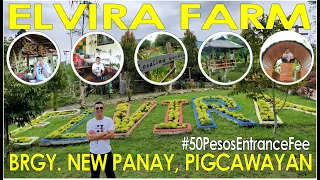 Elvira Farm, Brgy. New Panay, Pigcawayan | Rambisyoso