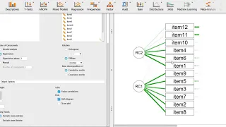 Step By Step Guide: Principal Component Analysis and Exploratory Factor Analysis