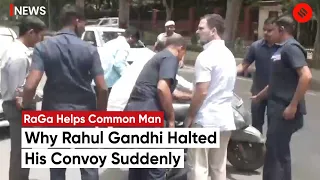 Rahul Gandhi Halts Convoy, Rushes To Aid Accident Victim Outside Parliament