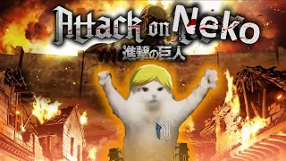 Attack on Neko | Season 2