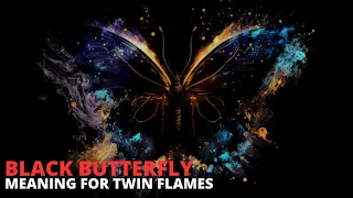 Black Butterfly Meaning for Twin Flames