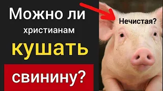 Можно ли христианам кушать свинину? Что говорит Библия? | Роман Савочка