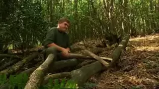 Ray Mears - How to split wood with a saw, Bushcraft Survival