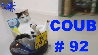 BEST COUB Лучшее приколы #92