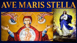 Ave Maris Stella Latin Marian Hymn Harmonisation - Motivation with Reality