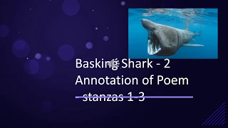 2. Basking shark annotations 1 3