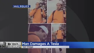 Vail Police: Man Vandalized Tesla By Extinguishing Cigarette On It