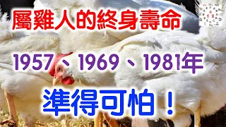 屬雞人的終身壽命：1957、1969、1981年，準得可怕！