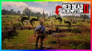 What Happens If You Stay TOO Long At The Civil War Battlefield In Red Dead Redemption 2? (RDR2)