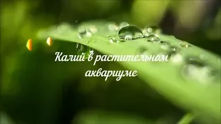 Калий в растительном аквариуме