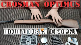 Crosman Optimus ПОШАГОВАЯ СБОРКА пневматической винтовки 4,5 мм Кросман Оптимус