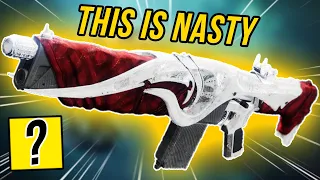 There's No Way This Auto Rifle Should Be THIS GOOD (Nasty Roll)