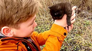 Коля СПАСАЕТ ЗАМЁРЗШЕГО ПОЛУЖИВОГО котёнка. Но ЗАХОЧЕТ ли Никиса стать МАМОЙ для малыша?