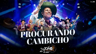 Procurando Cambicho - João Luiz Corrêa & Grupo Campeirismo ( DVD 25 anos de Carreira) 4k 2024