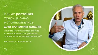 3.1. Какие растения традиционно использовались для лечения кашля? Вопрос специалисту