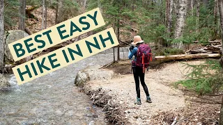 BEST EASY HIKE IN NH! (Waterfall hike in the White Mountains)