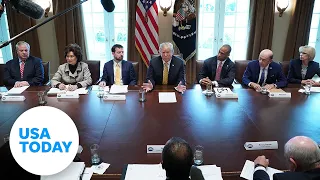 President Donald Trump holds a cabinet meeting | USA TODAY