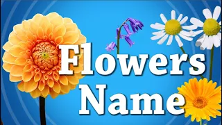 Flowers Name in English | Flower names for Kids in english | Kids educational videos