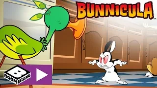 Il ladro di suoni | Bunnicula | Boomerang Italia