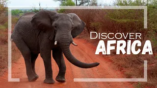 DISCOVER AFRICA || South Africa, Zambia, Zimbabwe, Botswana 2015 || GoPro Hero4