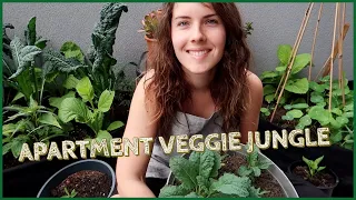 Apartment Veggie Garden Tour! 🌿  Self Sufficiency in 2020