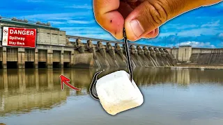 Fishing for Spillway MONSTERS w/ Unusual Bait (BIG Fish)