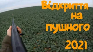 Полювання на зайця 2021. Відкриття.