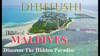 4K | DISCOVER THE HIDDEN PARADISE, DHIFFUSHI ISLAND | Diving & Snorkelling | Maldives 2023